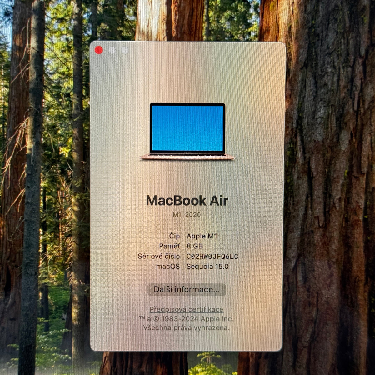 MacBook Air 13” M1 / 8GB / 256GB