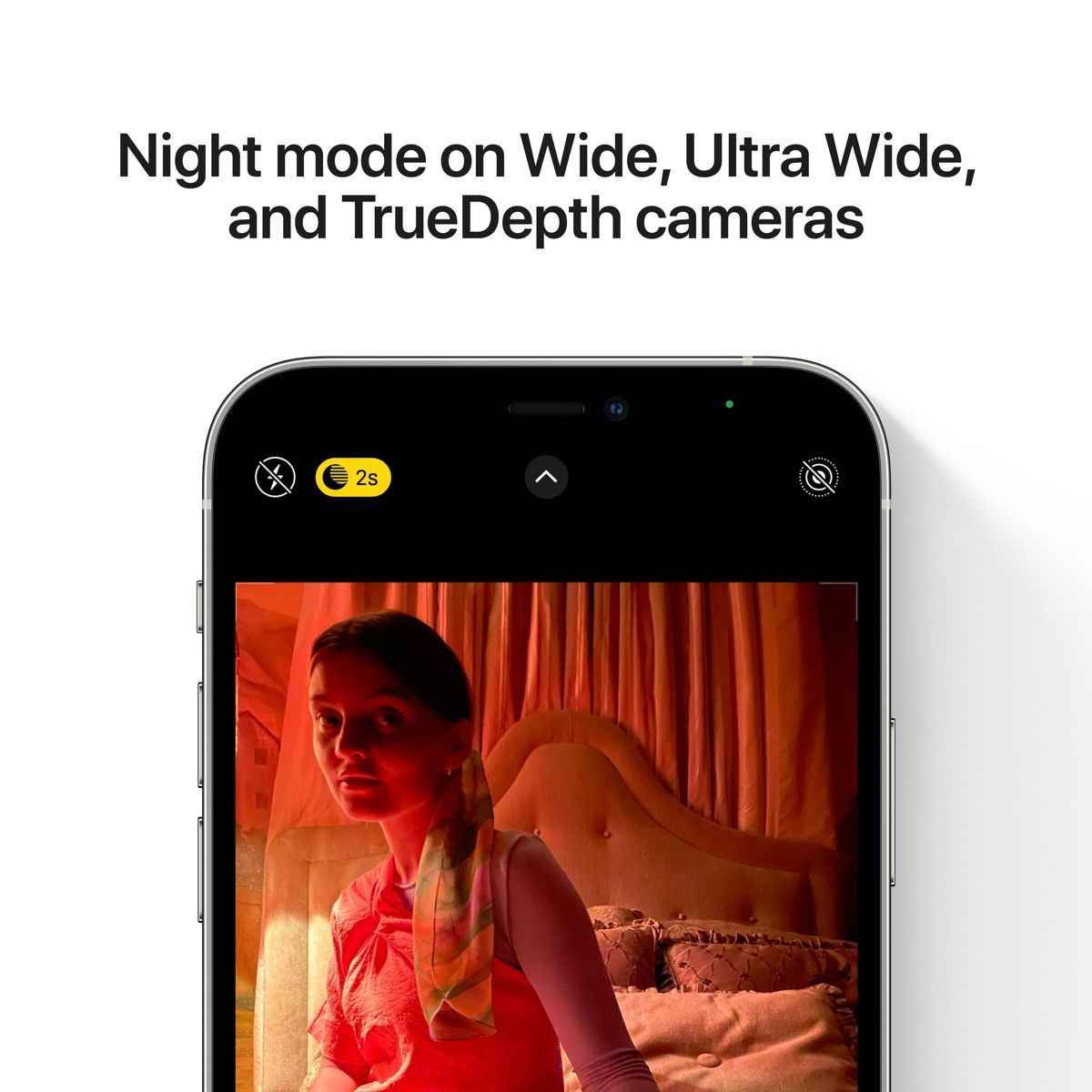 iPhone 12 Pro - stříbrná