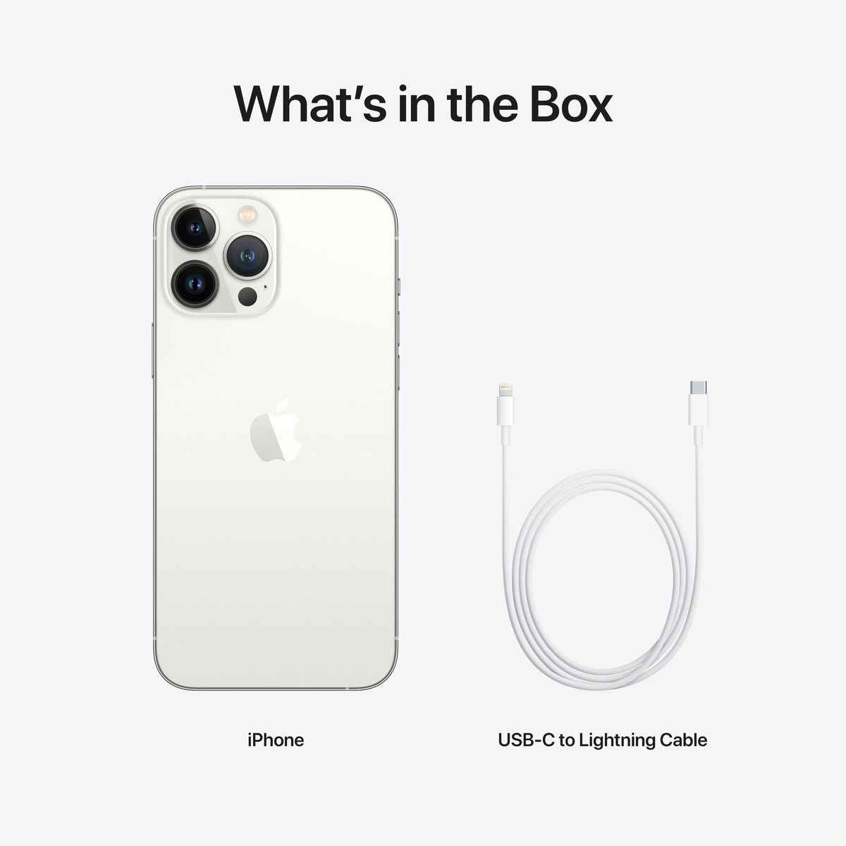 iPhone 13 Pro - stříbrná