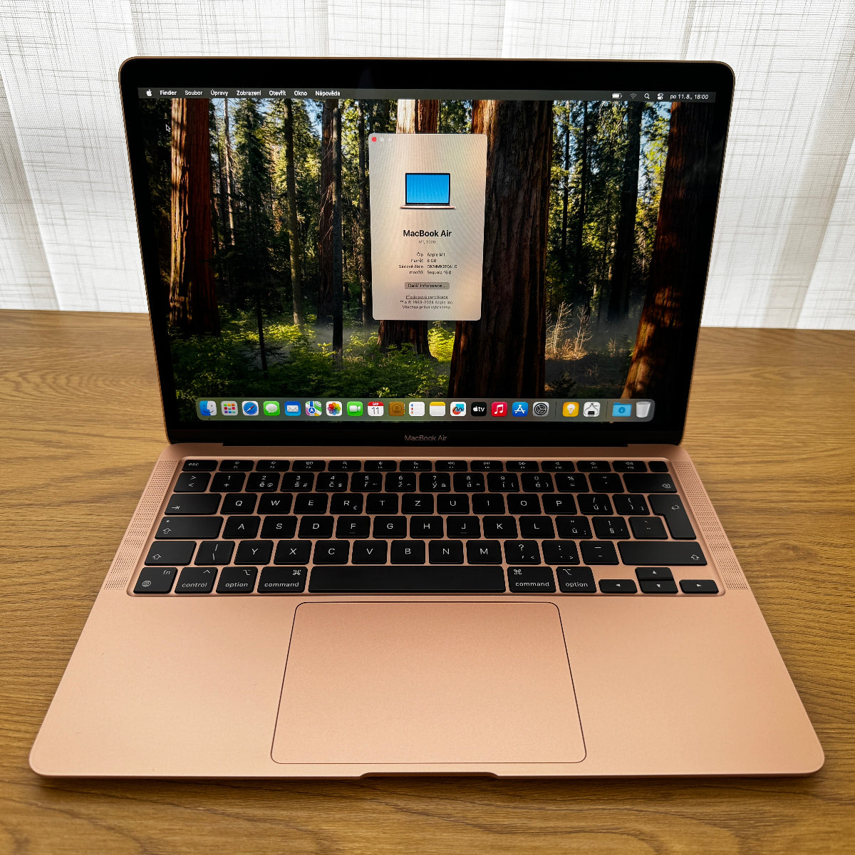 MacBook Air 13” M1 / 8GB / 256GB